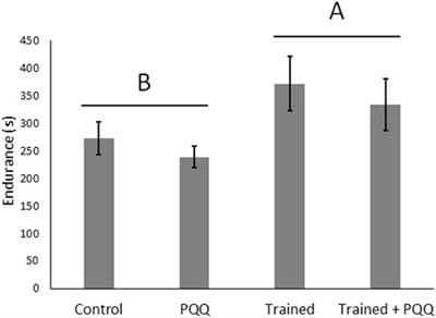 How does mitochondria function contribute to aerobic performance enhancement in lizards?